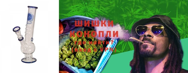 индика Балабаново