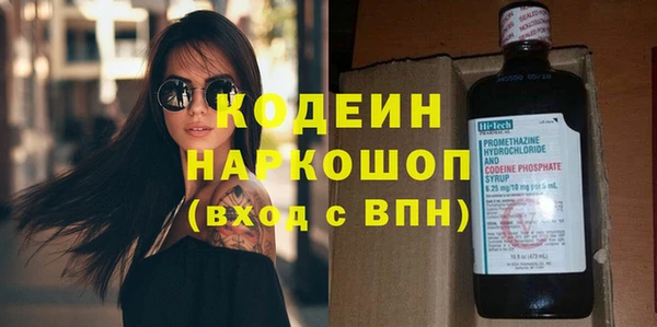 индика Балабаново