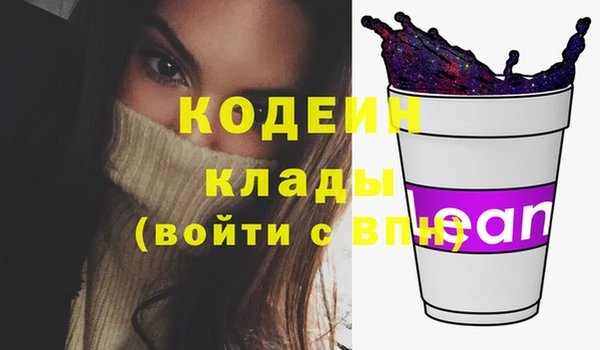 индика Балабаново