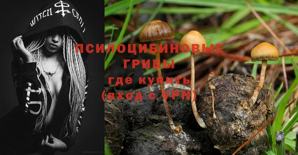индика Балабаново