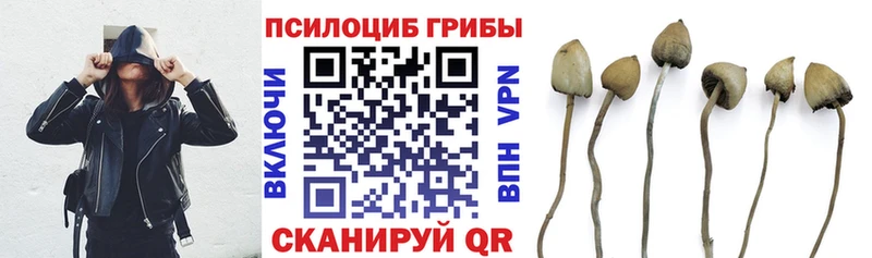 Купить закладки  Михайловка  Галлюциногенные грибы GOLDEN TEACHER 
